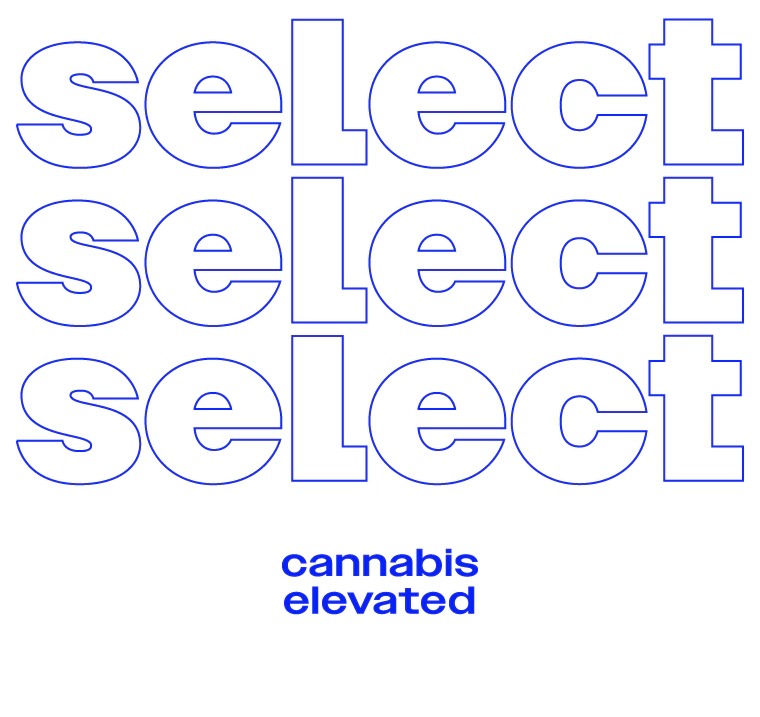 Select Briq 2 disposable vape pen 2g all-in-one device with premium cannabis oil, rechargeable sleek compact design and flavor-rich vapor